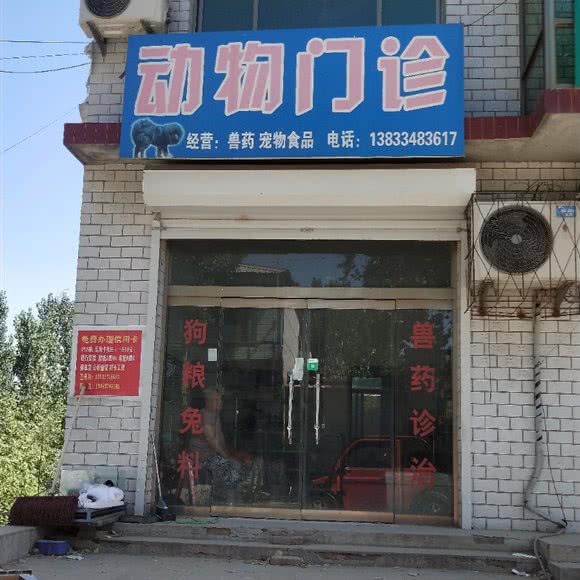 动物门诊:保定市顺平县