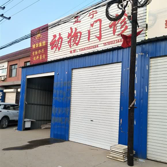 正宁动物门诊:保定市博野县