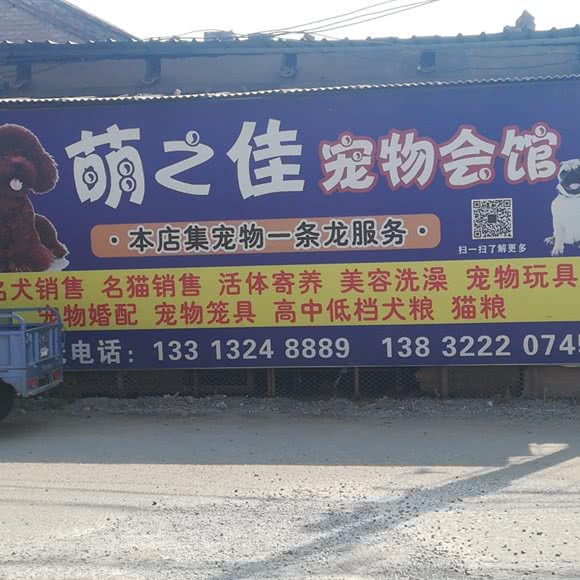 萌之佳宠物会馆:保定市雄县