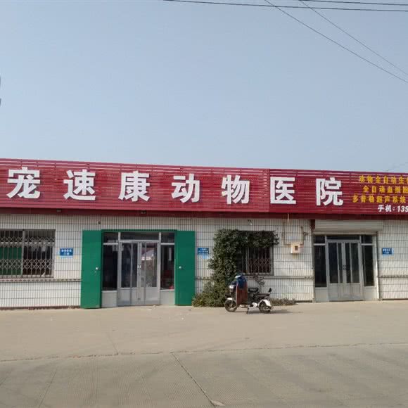 宠速康动物医院:保定市雄县