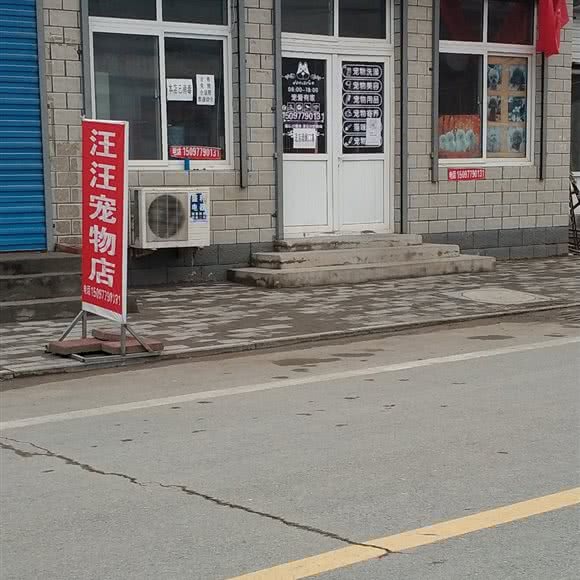 汪汪宠物店:保定市涿州市