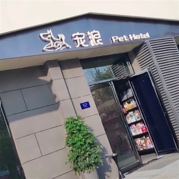宠浪?猫狗售卖(精品店):北京城区朝阳区三元桥/霄云路附近