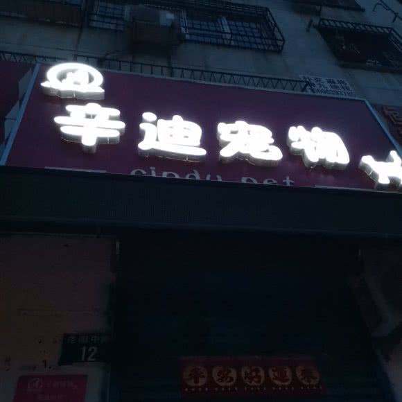 辛迪宠物:保定市涿州市