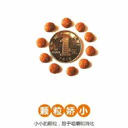 贝朵朵狗粮:保定市涿州市