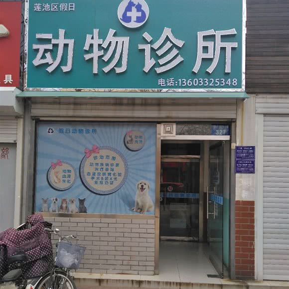 假日动物诊所:保定市莲池区美术中学附近