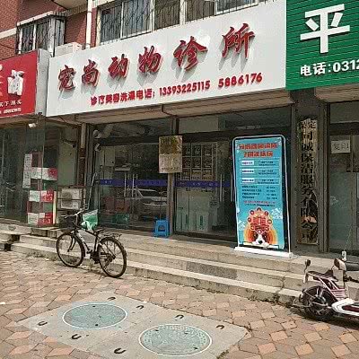 尚宠动物诊所:保定市莲池区美术中学附近