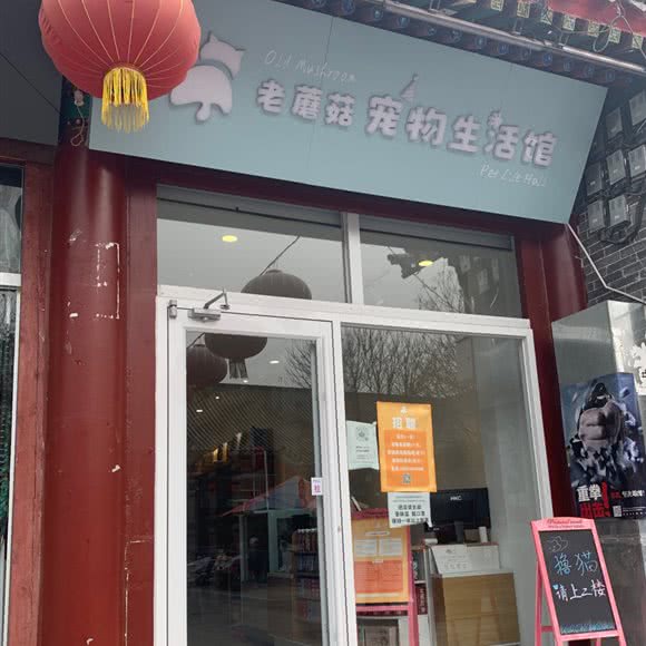 老蘑菇宠物生活馆:保定市定州市