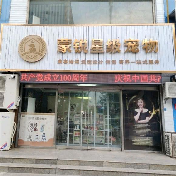 蒙锐星级宠物:保定市定州市