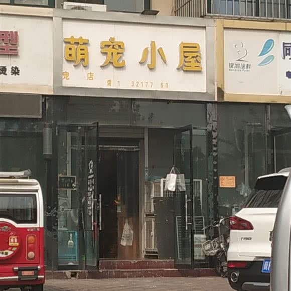 萌宠小屋:保定市定州市