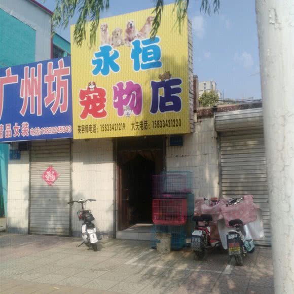 永恒宠物店:保定市定州市
