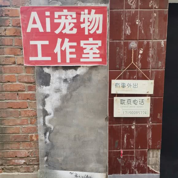 Ai宠物工作室:保定市定州市