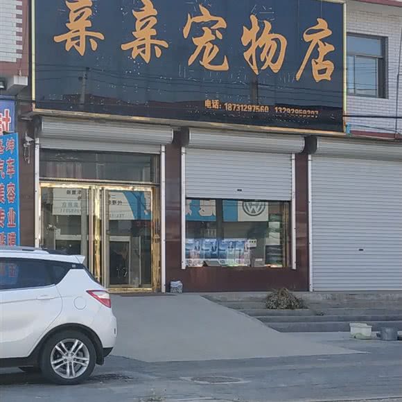 亲亲宠物店:保定市定州市
