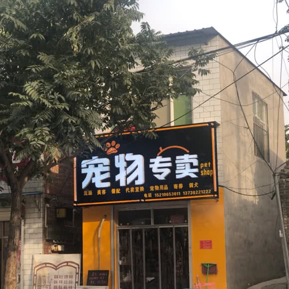 宠物专卖:保定市定州市