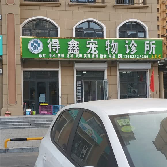 得鑫狗狗诊所:保定市定州市