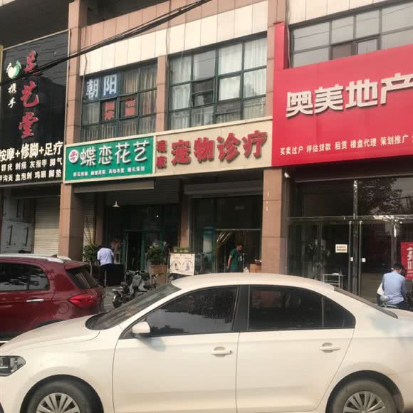 瑞康宠物诊疗:保定市定州市