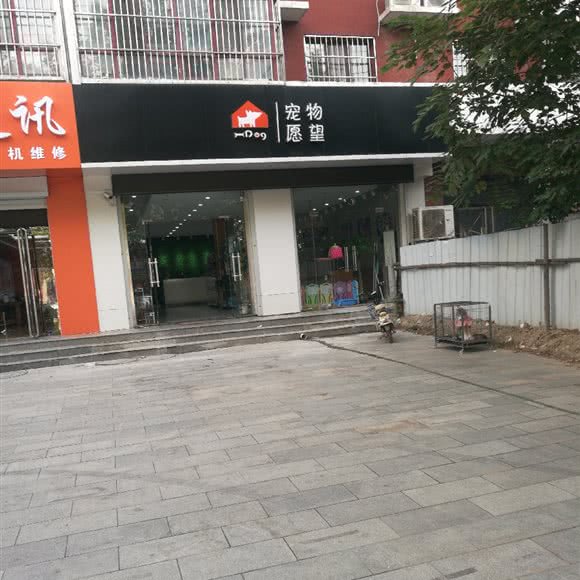 宠物愿望:保定市安国市
