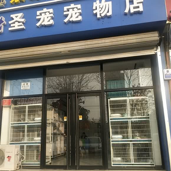 圣宠宠物店(五一南大街店):保定市高碑店市