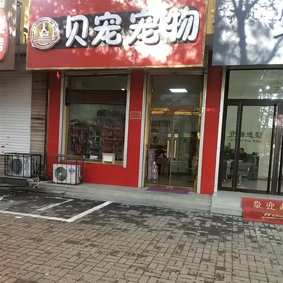 贝宠宠物:保定市高碑店市