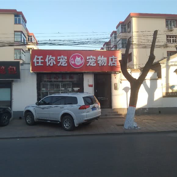 任你宠宠物店:保定市高碑店市