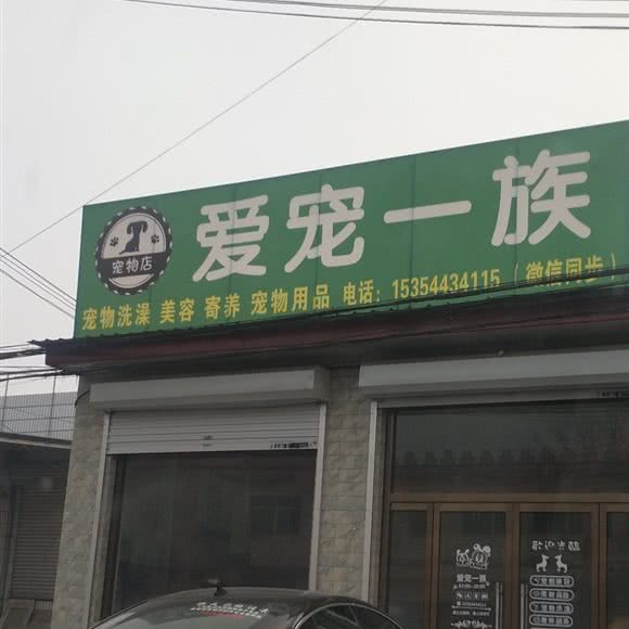 爱宠一族:保定市高碑店市