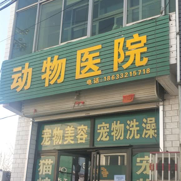 动物医院:保定市高碑店市