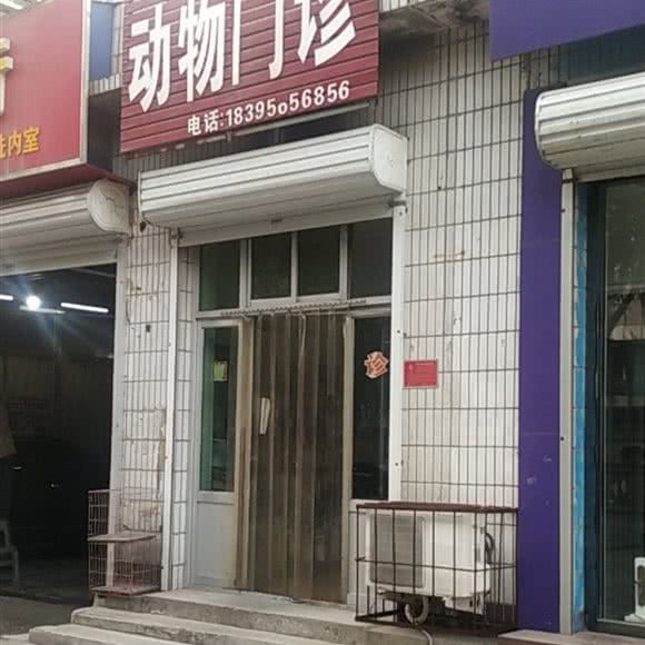动物门诊:保定市高碑店市