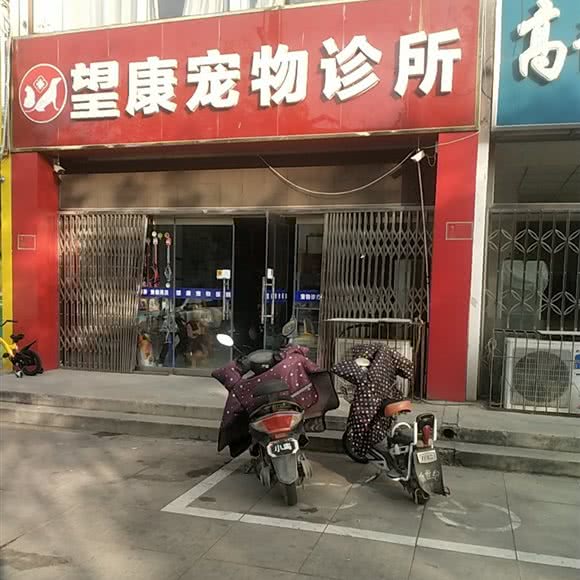 望康宠物诊所:保定市高碑店市