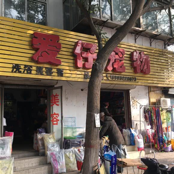 爱仔宠物:保定市莲池区东风桥市场附近