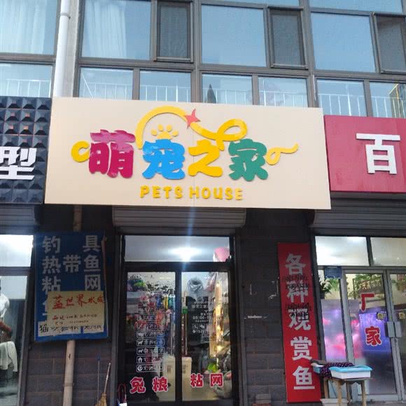 萌宠之家:张家口市宣化区