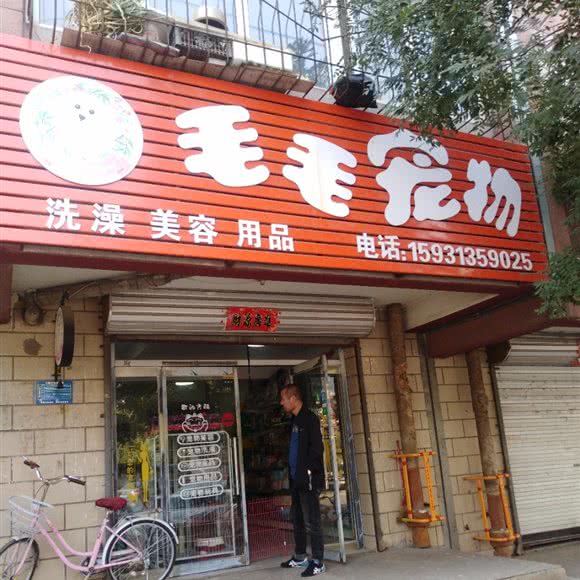 毛毛宠物:张家口市宣化区