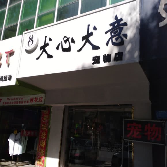 犬心犬意宠物店:张家口市宣化区
