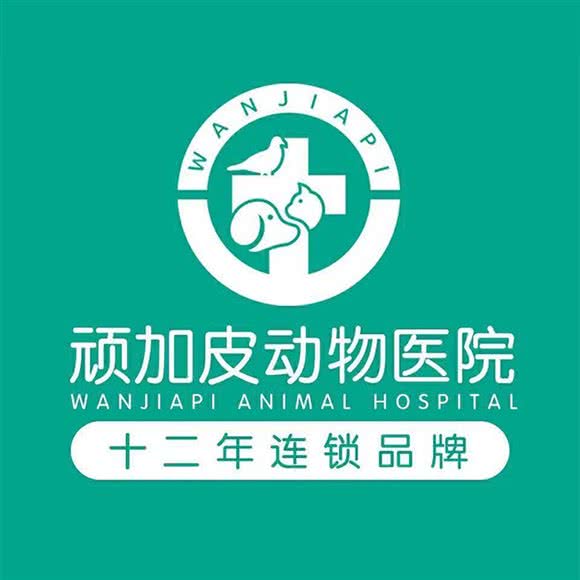 顽加皮动物医院猫专科:张家口市宣化区