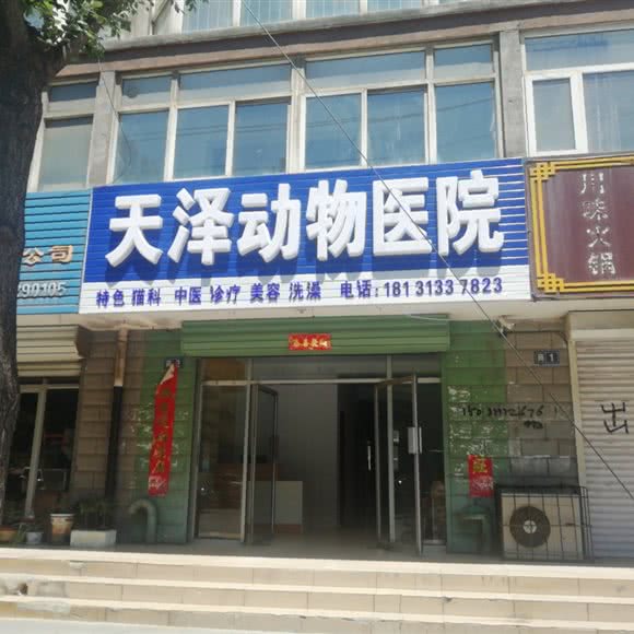 天泽动物医院:张家口市宣化区