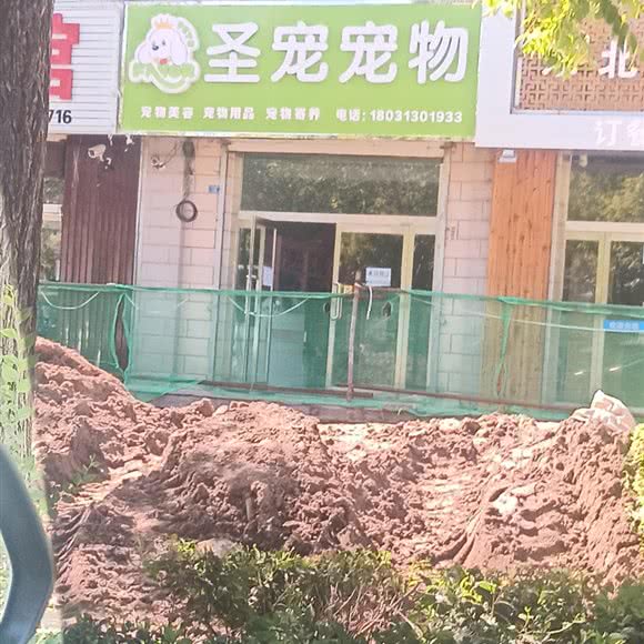 圣宠狗狗:张家口市张北县