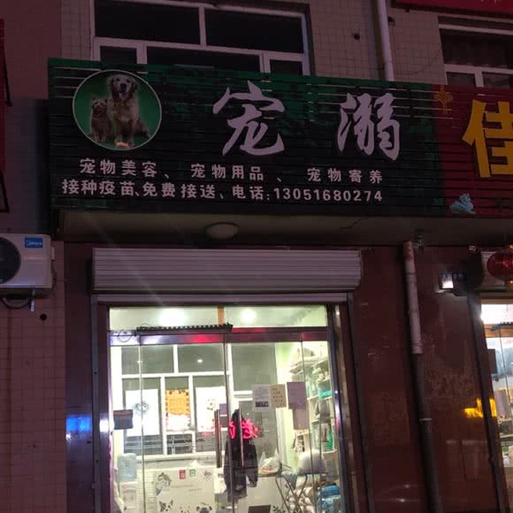 宠溺宠物美容:张家口市怀来县