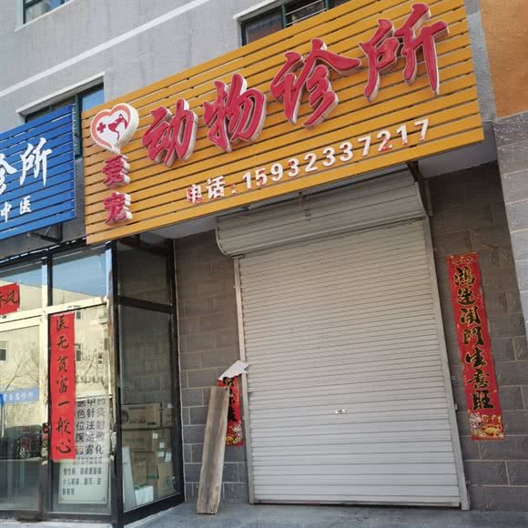 爱宠动物诊所:张家口市赤城县