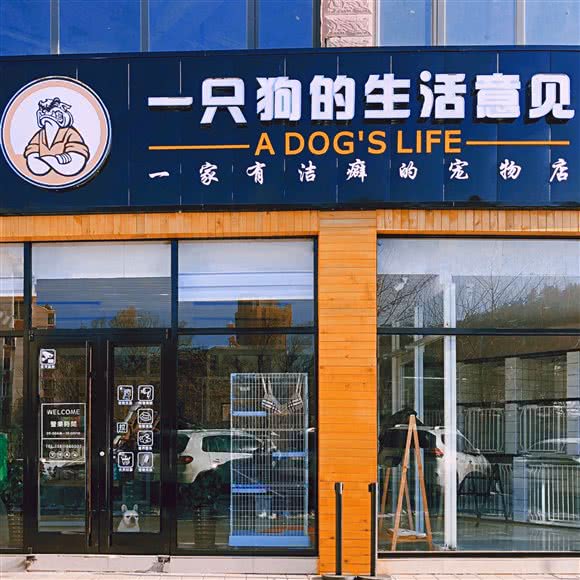 一只狗的生活意见建议:承德市双桥区
