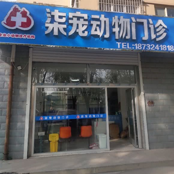 柒宠动物门诊:承德市鹰手营子矿区