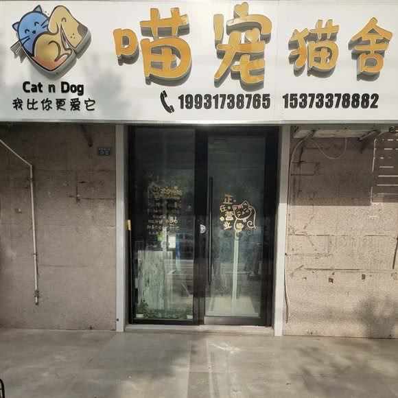 喵宠猫舍:沧州市新华区