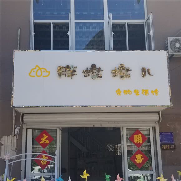 胖墩墩儿宠物生活馆:沧州市运河区