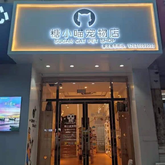 糖小喵宠物:沧州市运河区