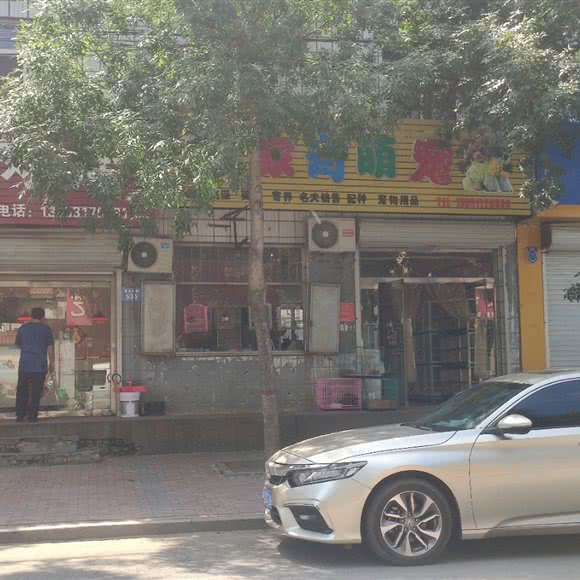 家有萌宠:沧州市盐山县