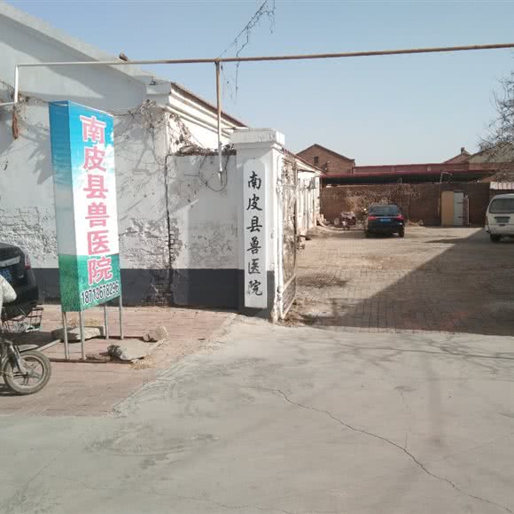 南皮县兽医院:沧州市南皮县