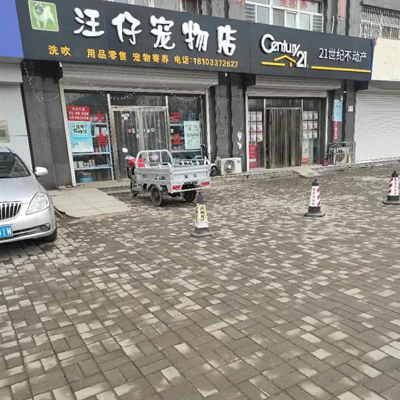 汪仔宠物店:沧州市献县