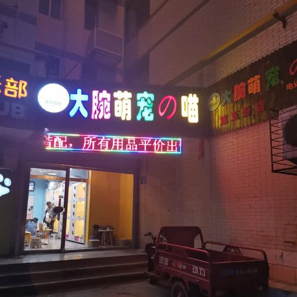 大腕萌宠の喵(第五分店):保定市莲池区东风公园附近