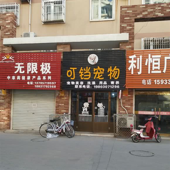 叮铛宠物:沧州市泊头市