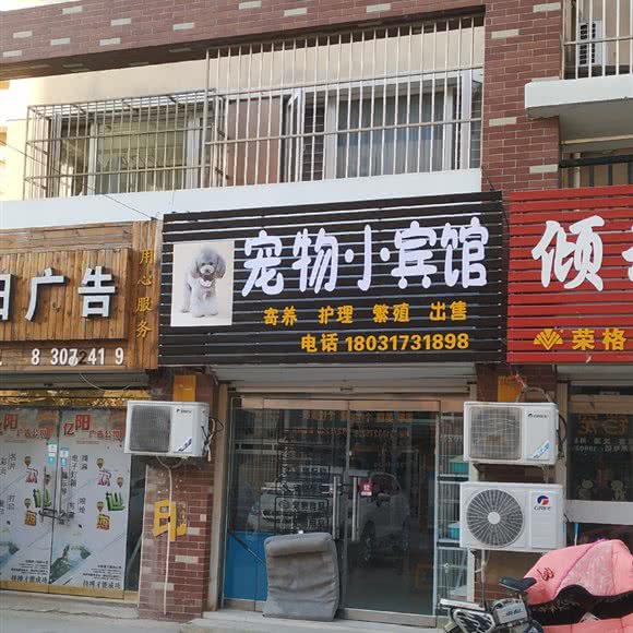宠物小宾馆:沧州市泊头市