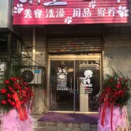 萌主宠物:保定市莲池区东风公园附近