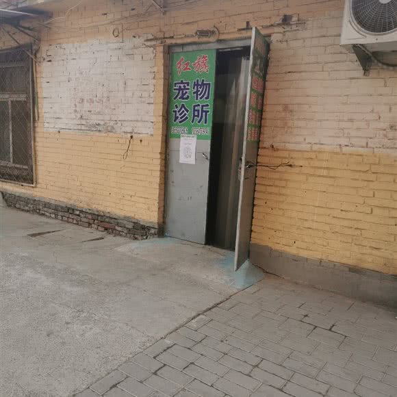 红旗宠物诊所:沧州市泊头市