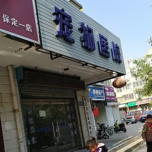 红星宠物医院:保定市莲池区东风公园附近